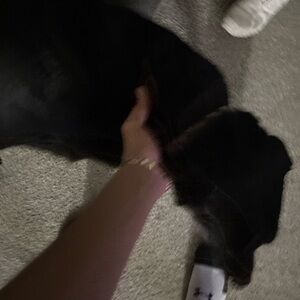 Meet your Posher, Fresh